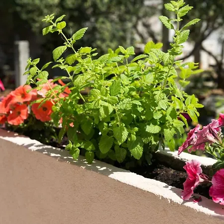 Melisa With Balcony & Free Parking Dubrovnik